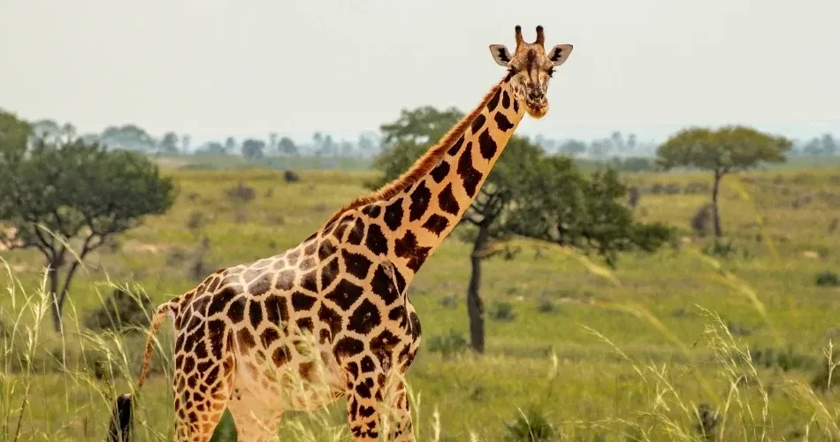 Best Family-Friendly Activities in Los Angeles for Kids